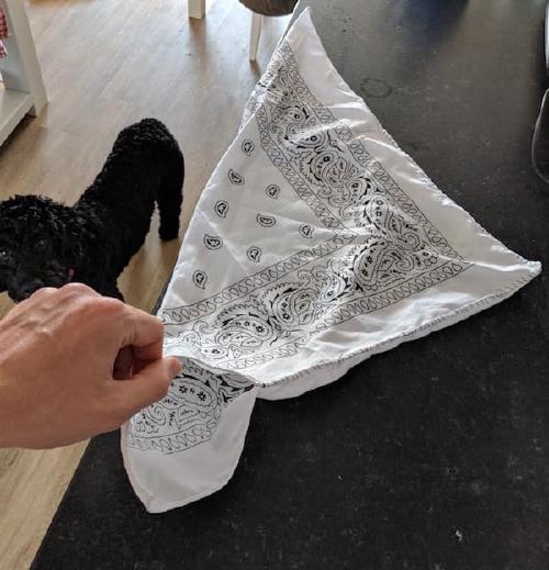 Make your own Ice Bandana