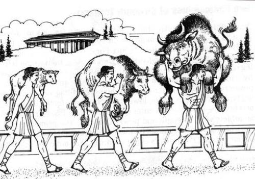 Milo of Croton: Progressive Overload