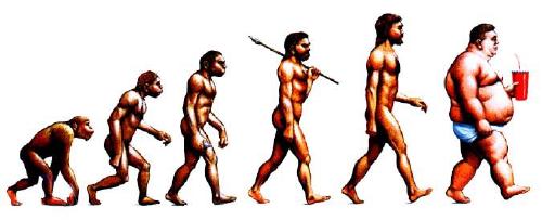 The Evolution of Man